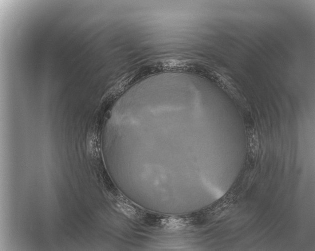 X0000055970419200509162203