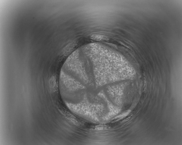 X0000055970420200509162203