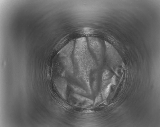 X0000055970421200509162203