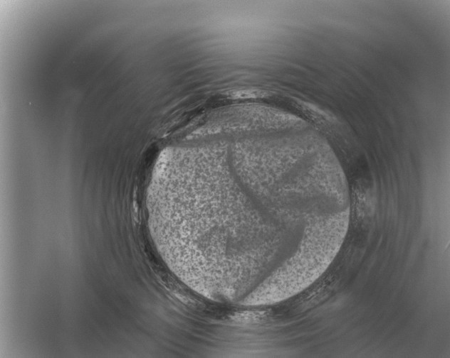 X0000055970422200509162203