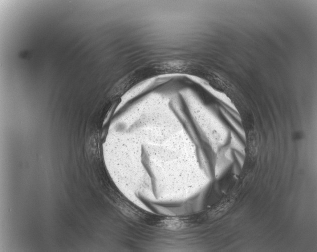 X0000055970425200509162203