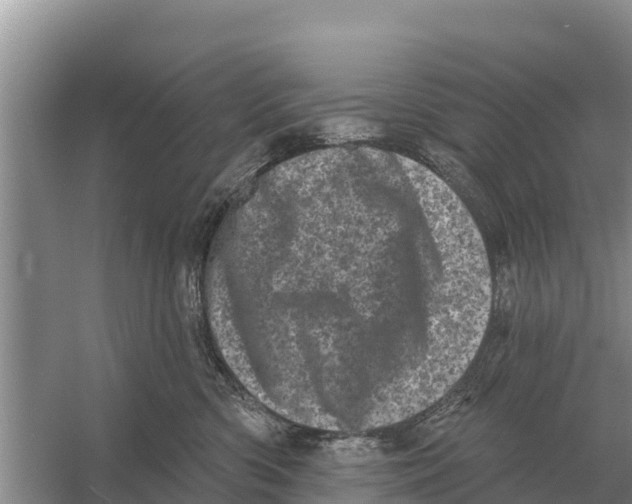 X0000055970426200509162203