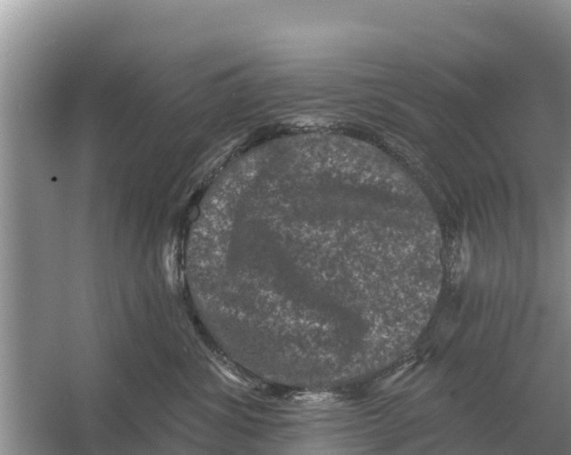 X0000055970428200509162203