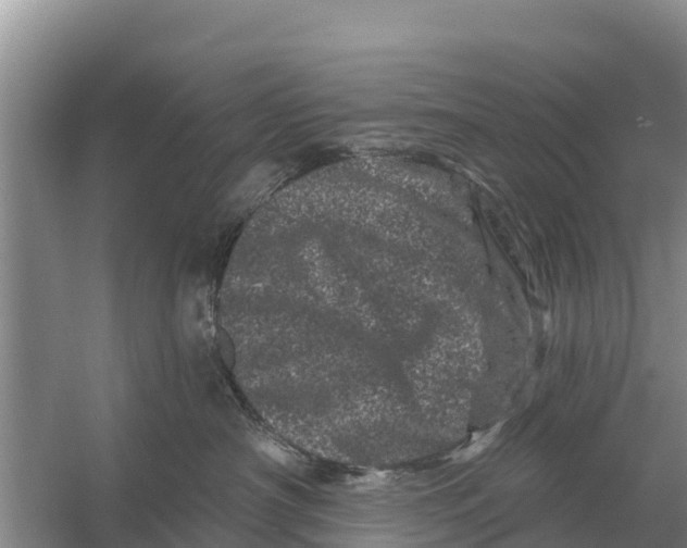 X0000055970430200509162203