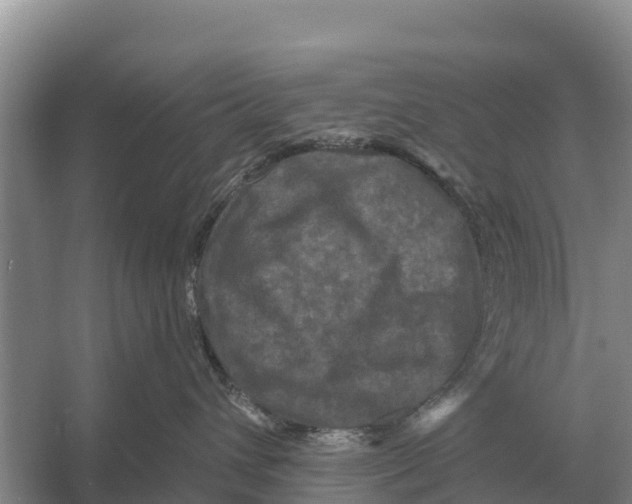 X0000055970432200509162203