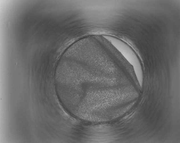 X0000055970433200509162202