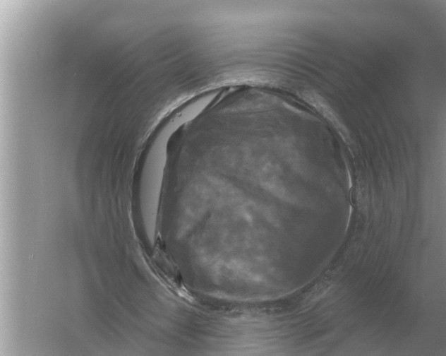 X0000055970434200509162202