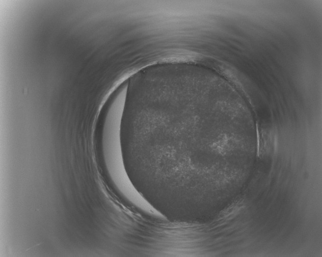 X0000055970435200509162202