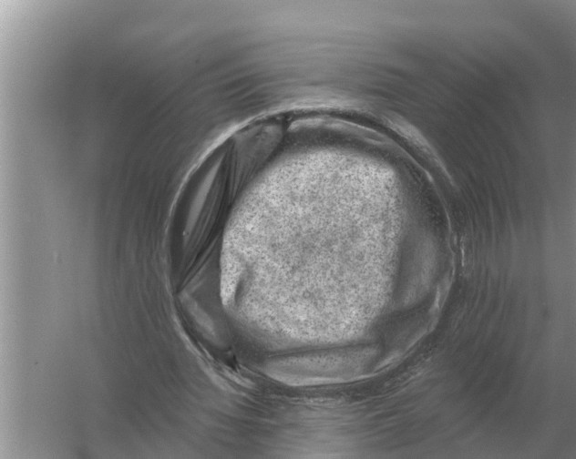 X0000055970436200509162202