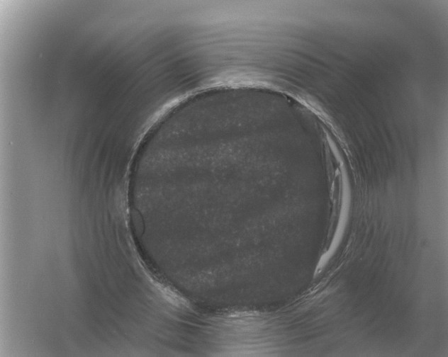 X0000055970438200509162202