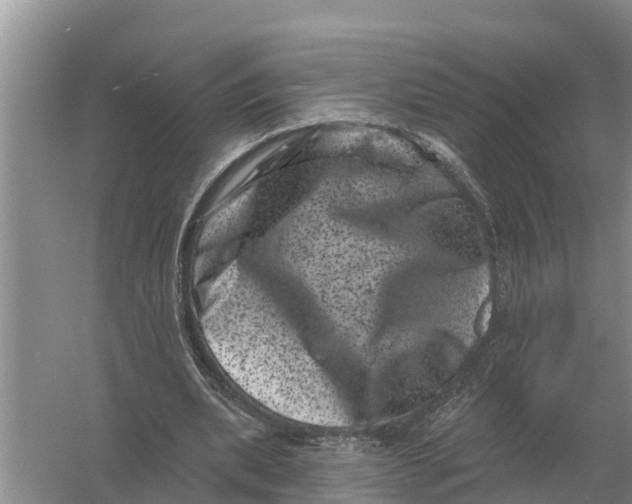 X0000055970439200509162202