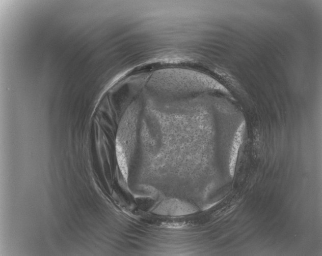 X0000055970440200509162202