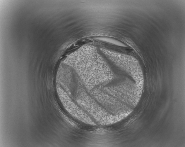 X0000055970441200509162202