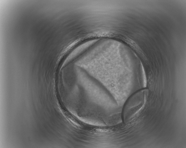 X0000055970442200509162202