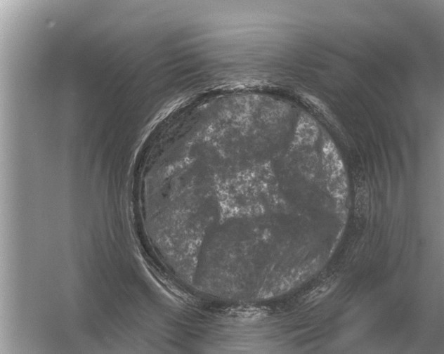 X0000055970443200509162202