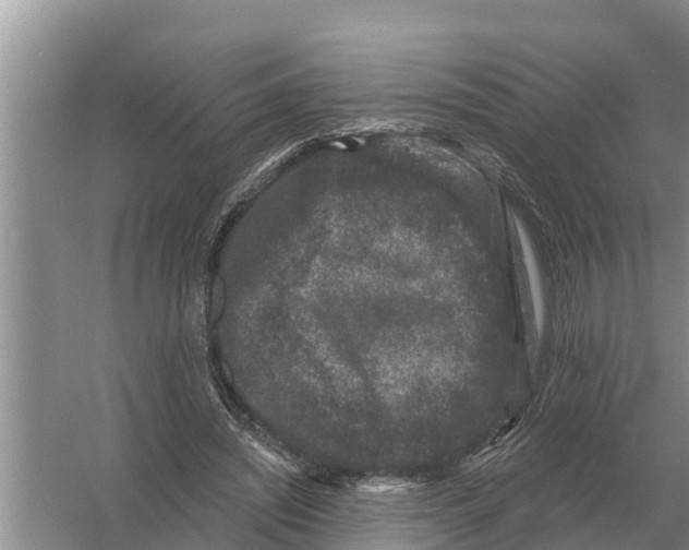 X0000055970444200509162202