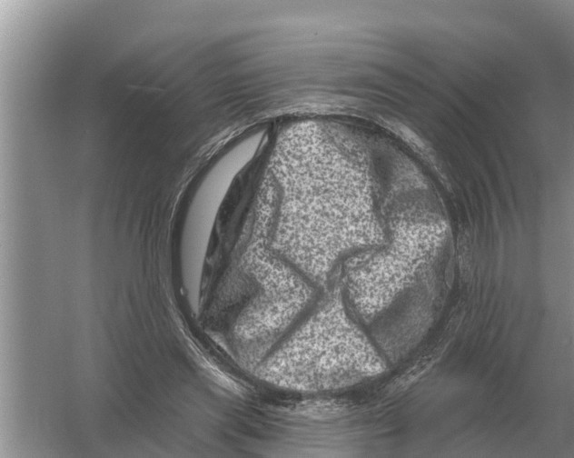 X0000055970445200509162203