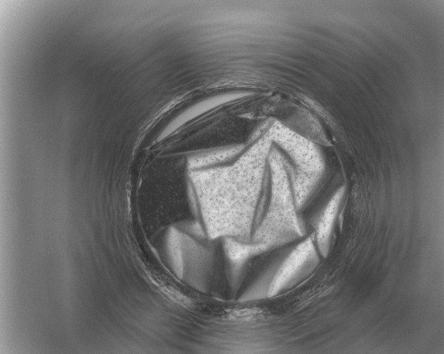 X0000055970446200509162203