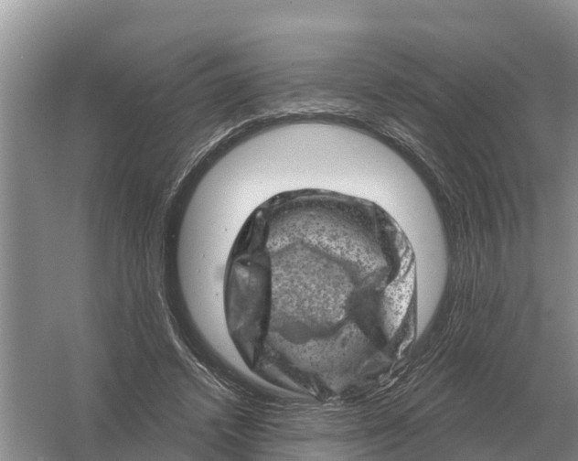 X0000055970448200509162203