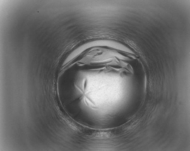 X0000055970449200509162203