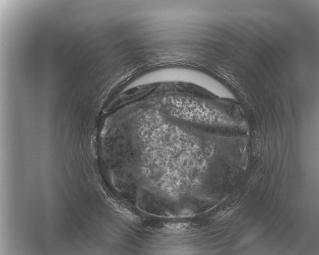 X0000055970450200509162203