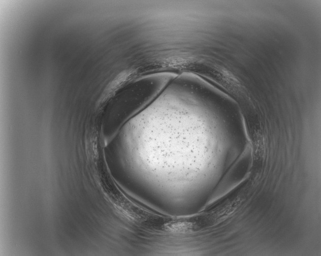 X0000055970452200509162203