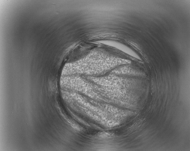 X0000055970453200509162203