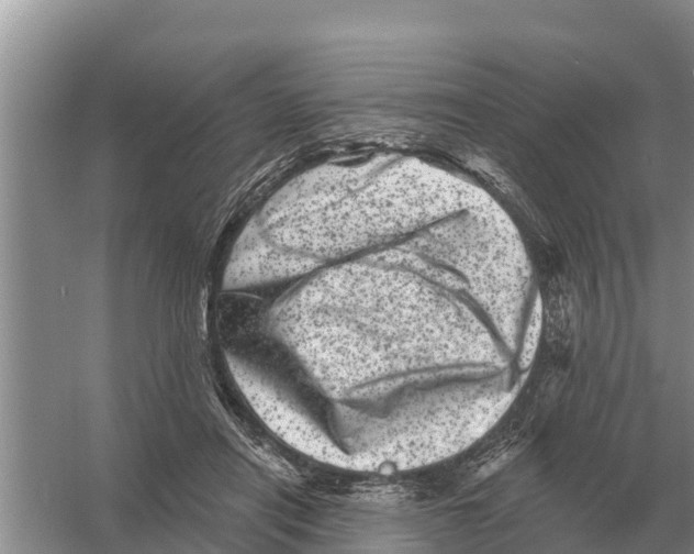 X0000055970454200509162203