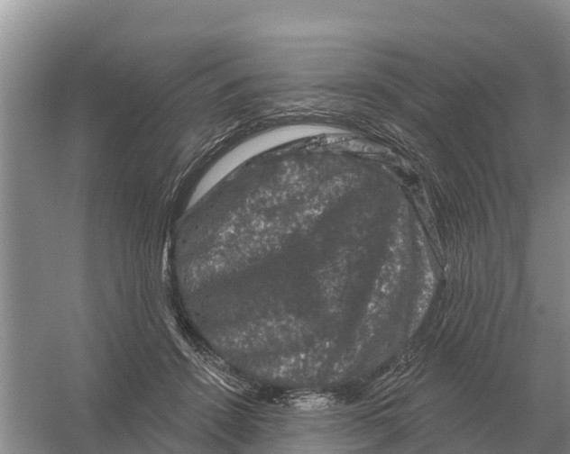 X0000055970456200509162203