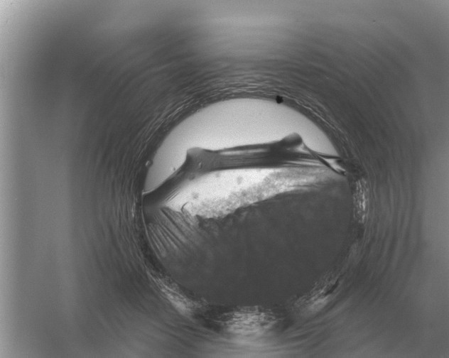 X0000055970458200509162203