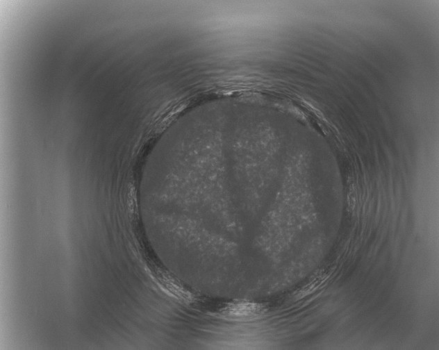 X0000055970459200509162203