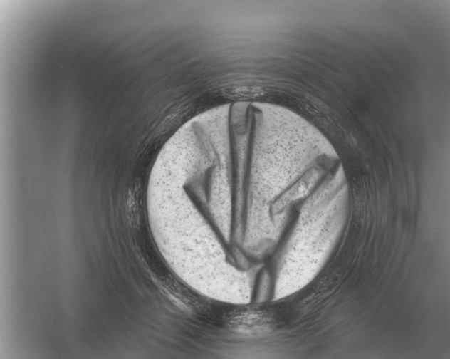 X0000055970460200509162203