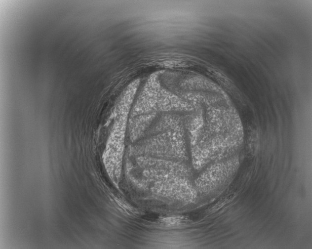 X0000055970461200509162203