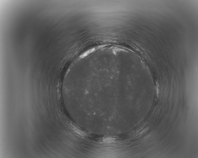 X0000055970462200509162203