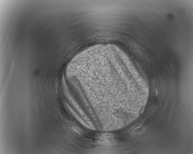 X0000055970463200509162203