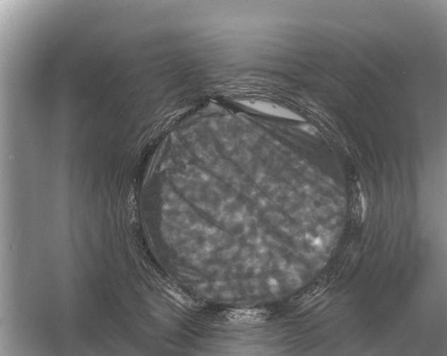 X0000055970465200509162203