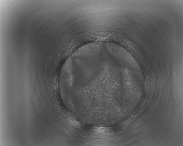 X0000055970467200509162203