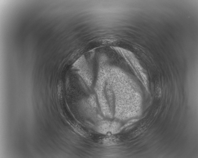 X0000055970468200509162203