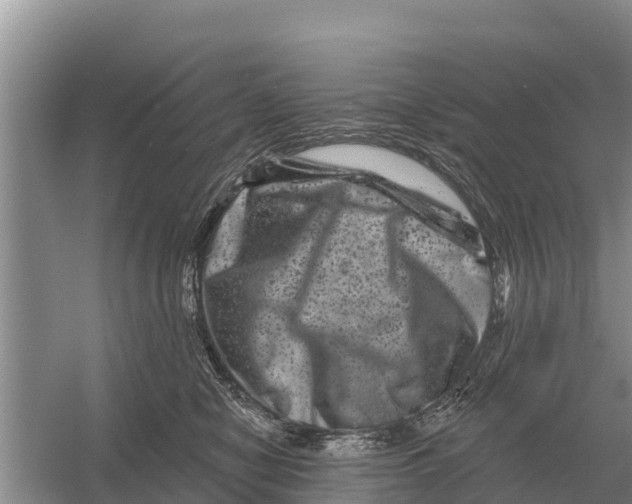 X0000055970470200509162203