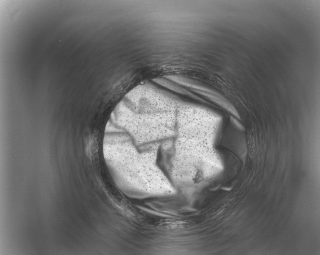 X0000055970472200509162203