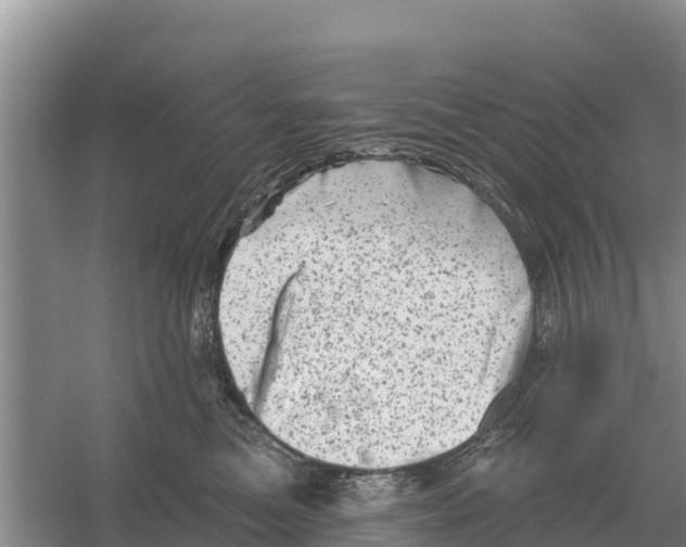 X0000055970473200509162203