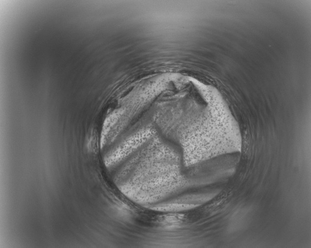 X0000055970474200509162203