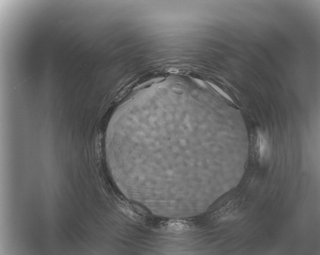 X0000055970475200509162203