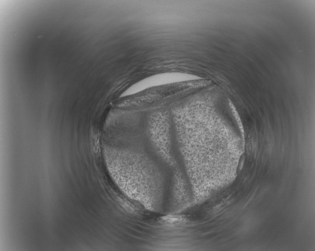 X0000055970477200509162203