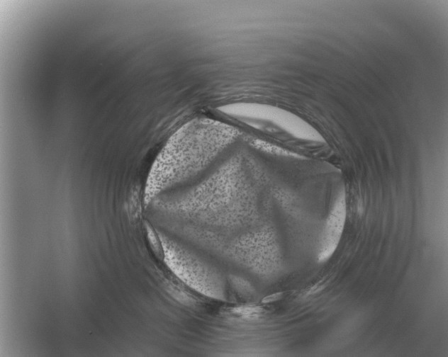 X0000055970478200509162203