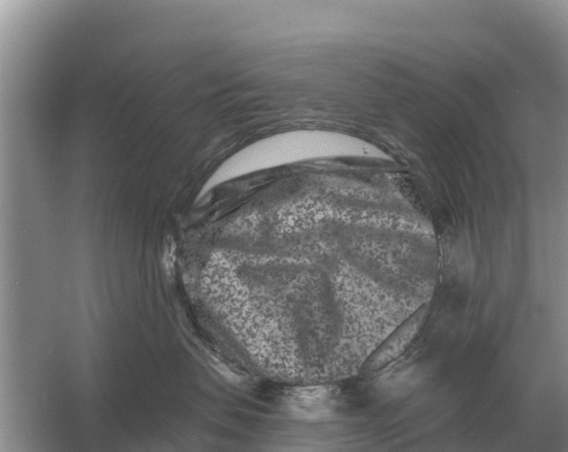 X0000055970479200509162203