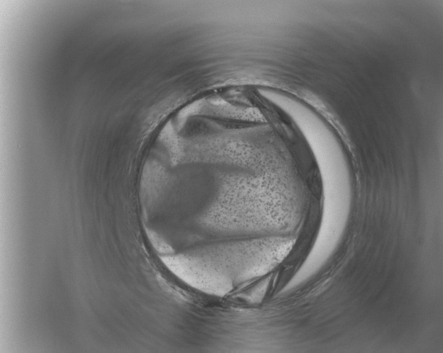 X0000055970481200509162202