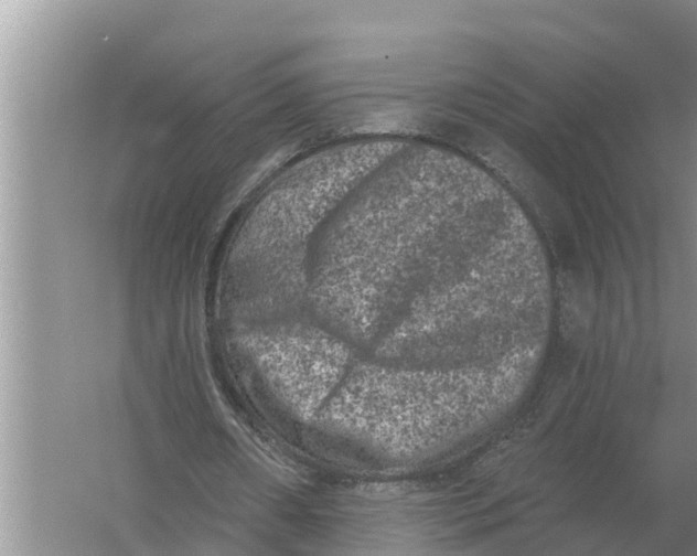 X0000055970482200509162202