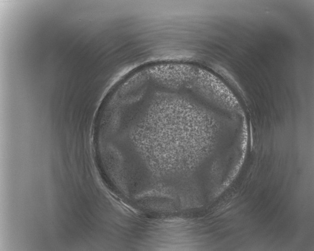 X0000055970483200509162202