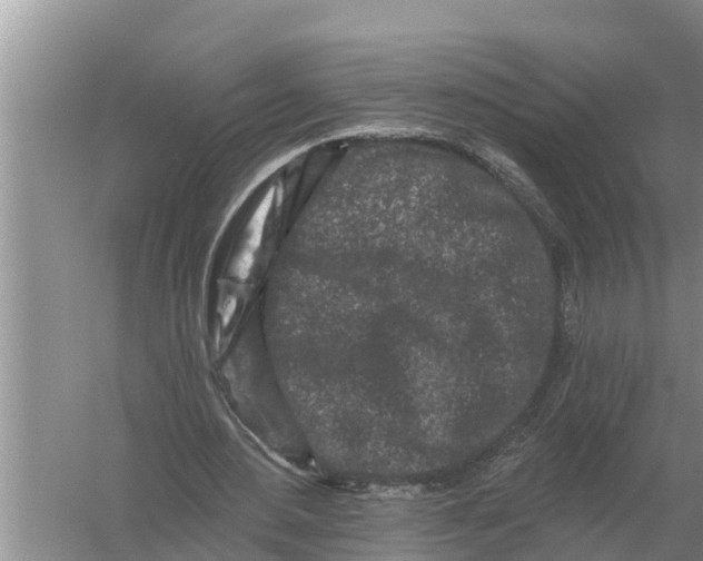 X0000055970484200509162202